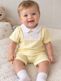 Lemon Shirt and Shorts Set